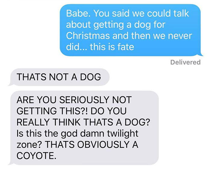 Husband-Freaks-Out-After-His-Wife-Texts-Him-She-Brought-A-Dog-Home-While-The-Pic-Shows-Its-Coyote-5842a6ab10a88__700.jpg