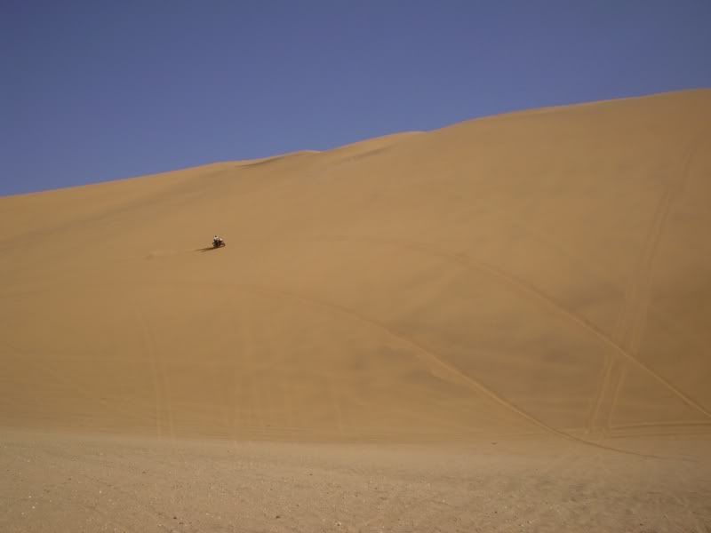 Dune7_2.jpg