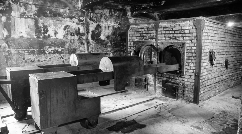 Auschwitz-Crematorium.jpg-Edited-800x445.png