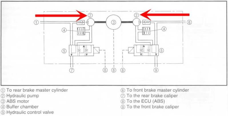 abs-3.jpg