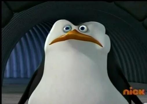 Twitching-Eye-penguins-of-madagascar-16795976-507-362.jpg