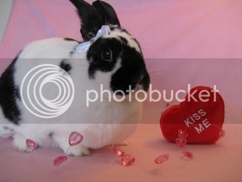 V-daybuns10.jpg