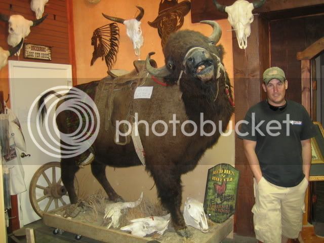 TombstonebuffaloRussIMG_4901.jpg