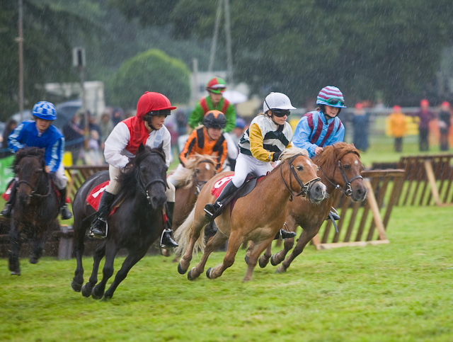 Shetland_Pony_Grand_National%2C_Somerley_Park_-_geograph.org.uk_-_1143202.jpg