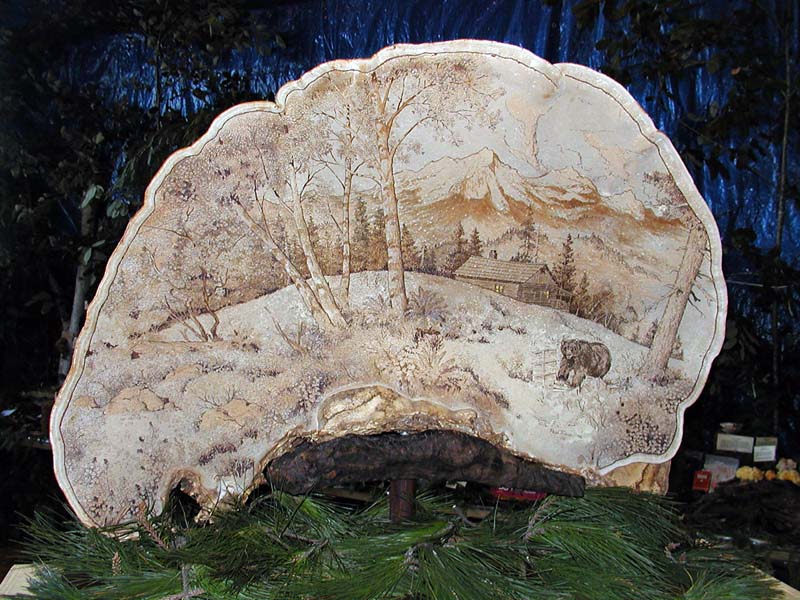 Ganoderma_applanatum(nw-02).jpg