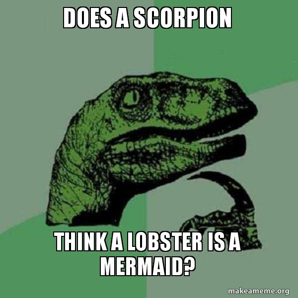 does-a-scorpion.jpg
