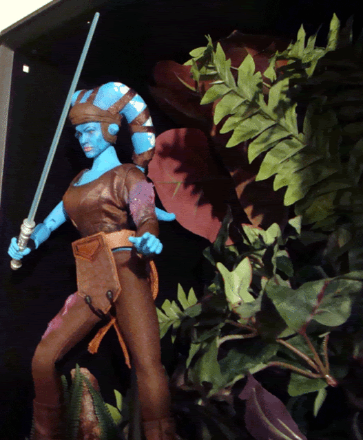 2-Aayla-8.gif