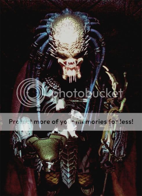 elder_avp_01.jpg