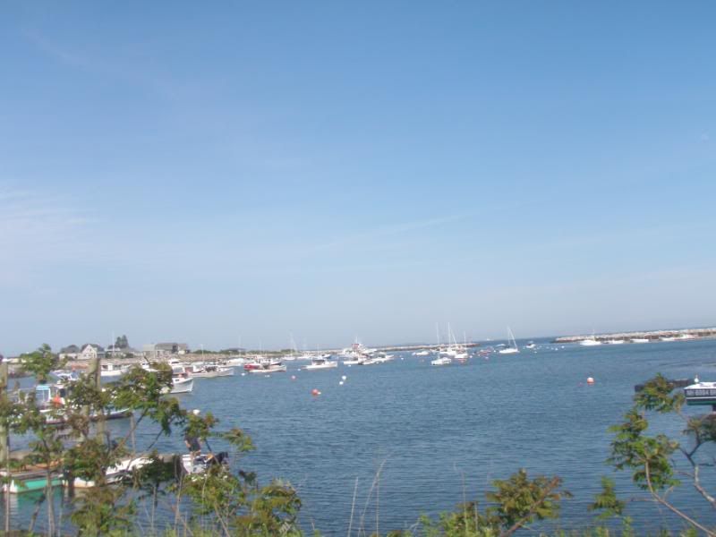 NewEnglandJune2009226.jpg