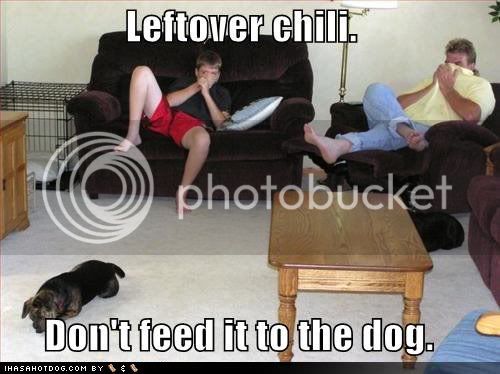 funny-dog-pictures-leftover-chili.jpg