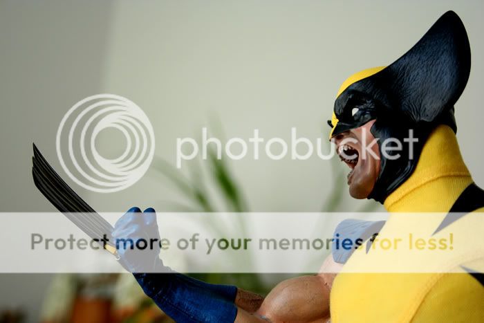 Wolverine11.jpg