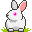 bunny1008.gif