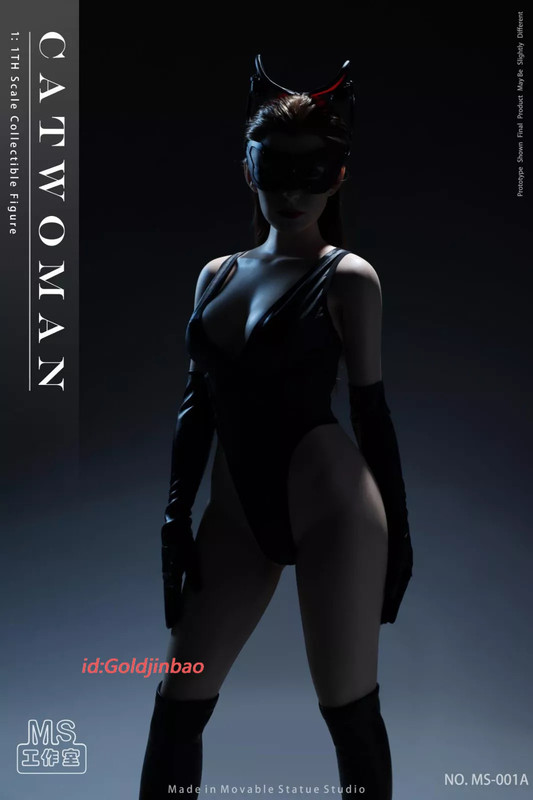 MS-Studio-1-1-Scale-Catwoman-Action-Figure-Model-silica-gel-Anne-6.jpg