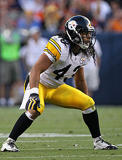 ff054fb4d61b2301_Troy-Polamalu-Hair.xlarge.jpg