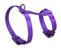 Four-Paws-Cat-Harness-H-3-8-In-X-18-In-Purple-045663137755.jpg