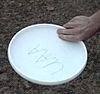 100px-Frisbee-forehand-bottom.jpg