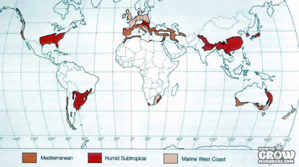 Humid-Subtropical-Zones.jpg