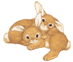 2-bunnies.gif