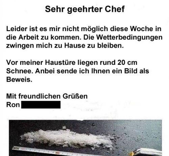 sehr_geehrter_chef.jpg