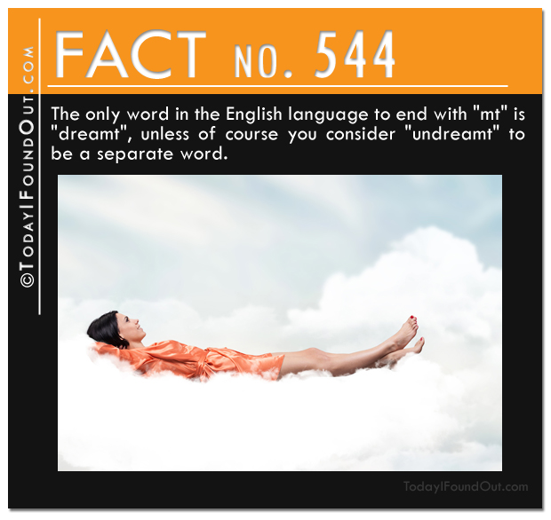 TIFO-Quick-Fact-544.jpg