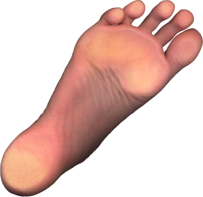 foot.png