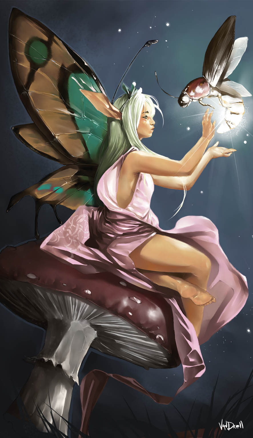 IMAGO_CARDS___Faerie_by_Vandrell.jpg