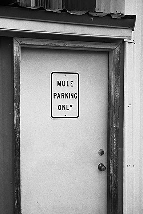 mule_door_IIb.jpg