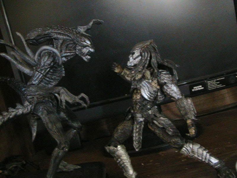 AvP2aq005.jpg