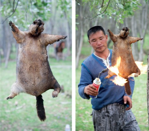 real-hunters-hunt-marmots.jpg