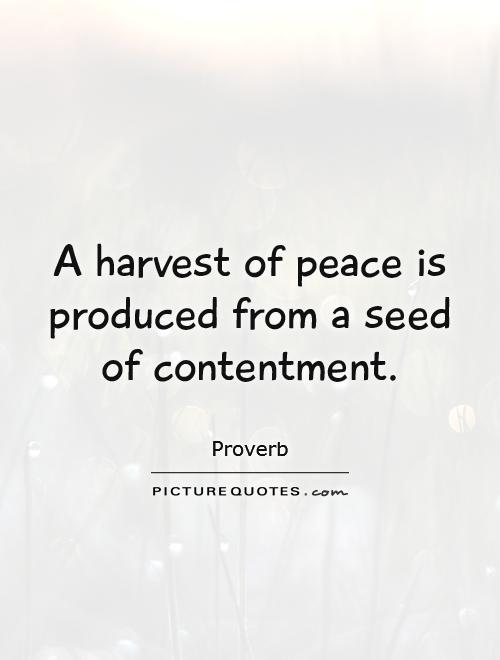 a-harvest-of-peace-is-produced-from-a-seed-of-contentment-quote-1.jpg