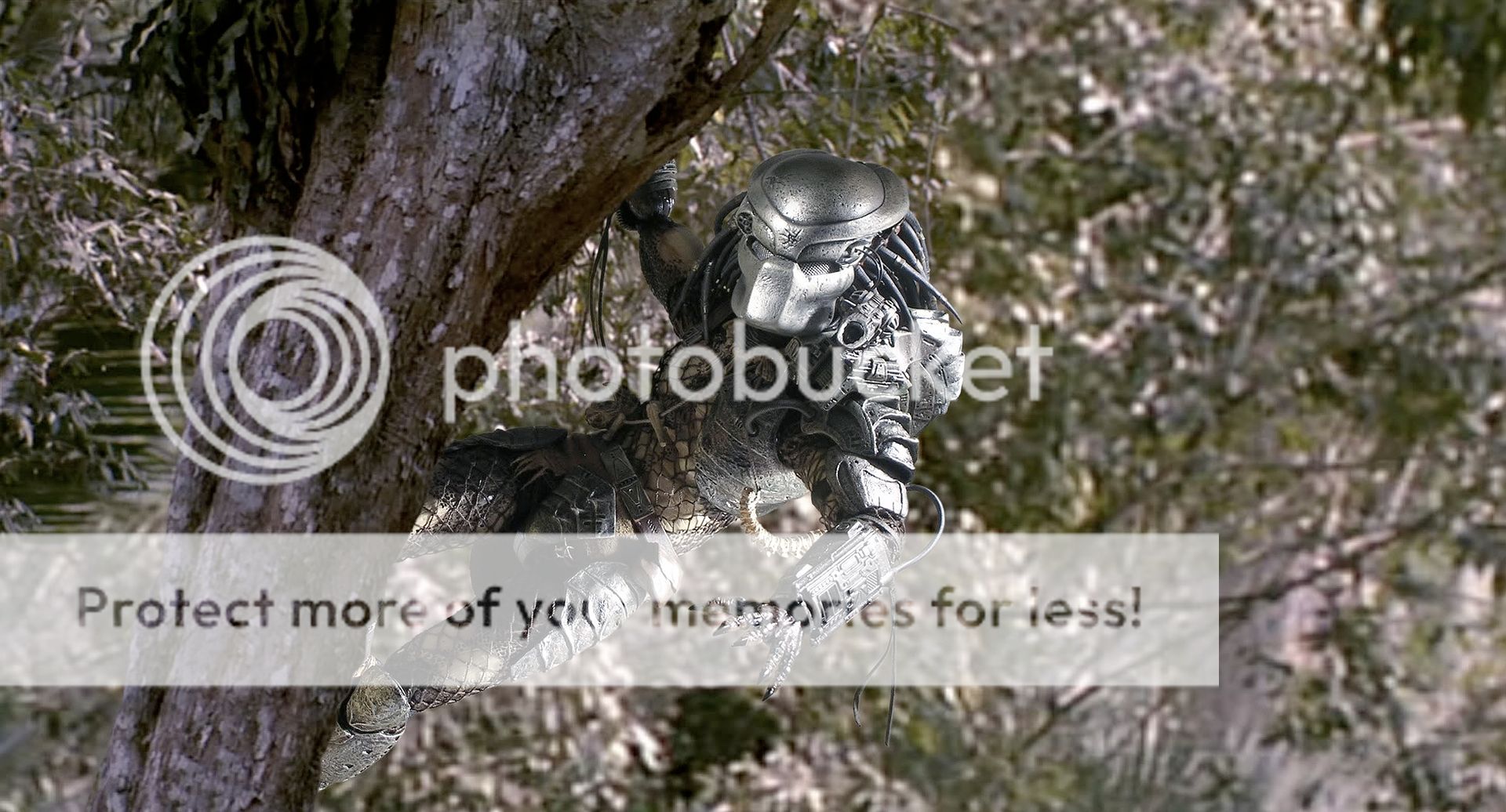 PREDATOR01.jpg